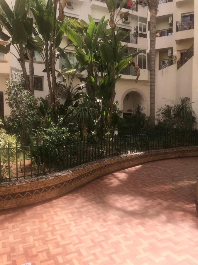 Oasis Apartment